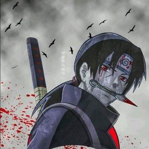 Meet your Posher, Matt